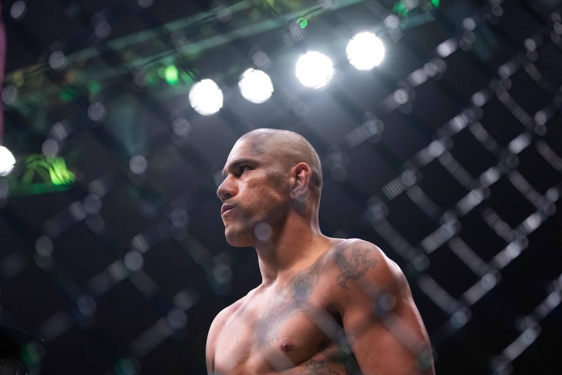 George St-Pierre gives honest reaction after seeing Alex Pereira in person: “This is unbelievable”